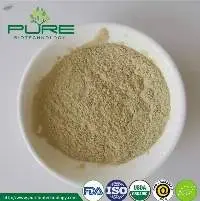 Organic Pumpkin Seed Protein Powder