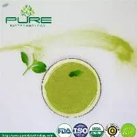Organic Matcha Green Tea Powder/Food Grade