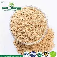 Organic Lions Mane Powder