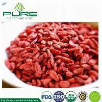 New Crop Dried Goji with Good Quality