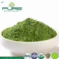 Good Quality Matcha for Beverage