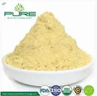 Organic Ginger Powder