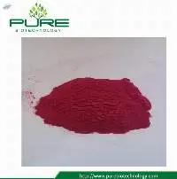 Good Quality Acai Powder