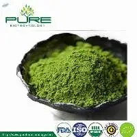 Organic Matcha Powder/Food Grade