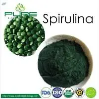 Good Taste Spirulina Powder