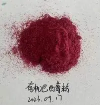 Organic Acai Powder with Good Quality