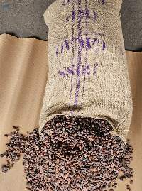 West Africa Prenium Cocoa Beans