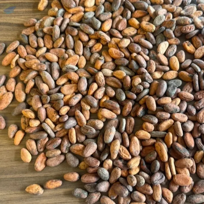 Cocoa beans