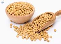 Soyabeans / Soybeans