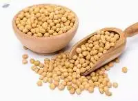 Soyabeans / Soybeans