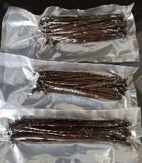Vanilla Bean