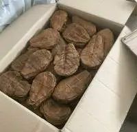 Dried Leaf From Indonesia