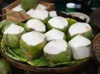 Coconut