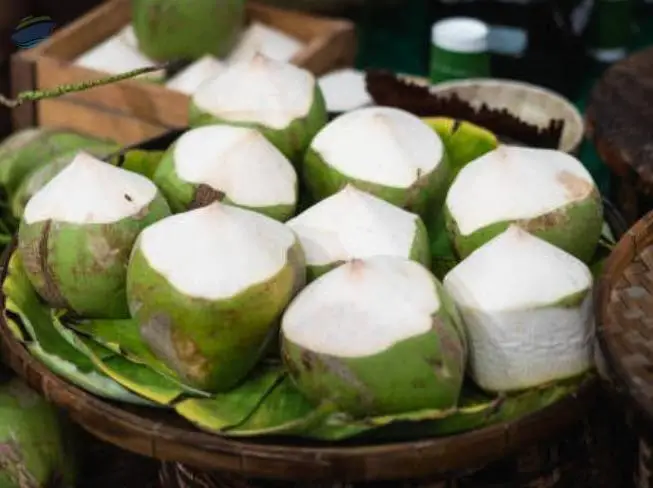 Coconut