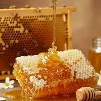 Pure Raw Honey