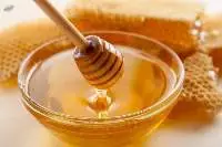 Eucalyptus Honey