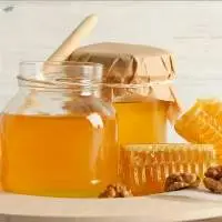 Karanj / Pongamia Honey