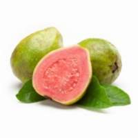 Premium Grade Guava Puree & Concentrate