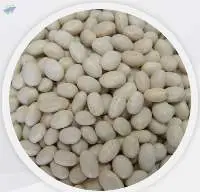 Navy Beans