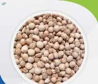 Pigeon Beans