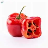Capsicum Pubescens