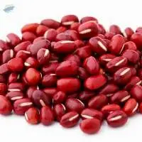 Adzuki Bean