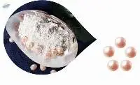 Mother of Pearl Shell Powder