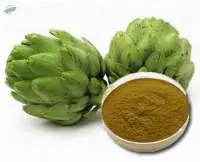 Artichoke Powder