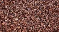 Cocoa Shell