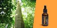 Copaiba Oil