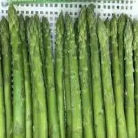 IQF Asparagus