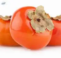 Persimmon Fruit