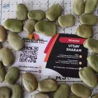 Fava Beans