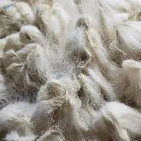 Alpaca Fiber