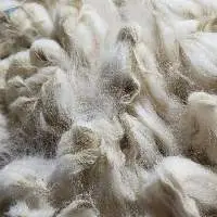 Alpaca Fur