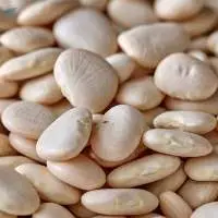 Baby Lima Beans