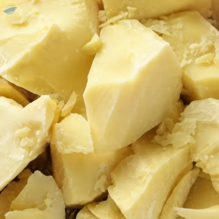 Cocoa Butter