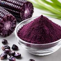 Purple Corn Extract / Anthocyanin Color