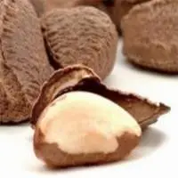 Brazil Nut