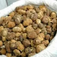Yellow Maca Dried Root