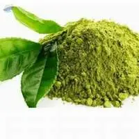 Tulsi Powder 1kg