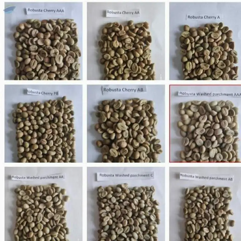 Coffee Beans