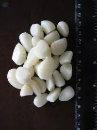Pickled Garlic