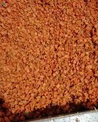 Puffed Carrot