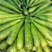 India Fresh Vegetables