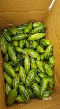 Bengali Vegetables