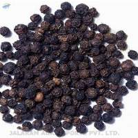Black Pepper