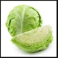 Cabbage