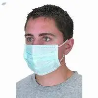 2 Ply Face Mask