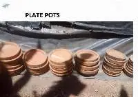 Plate Pot